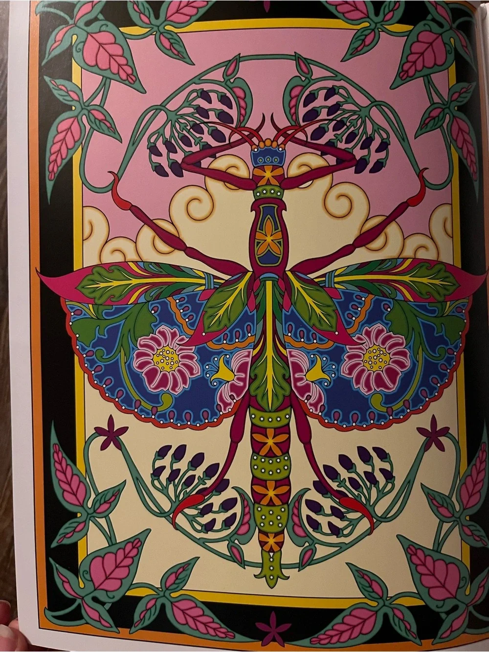 Incredible Insect Designs Coloring Book - Purple & Multicolor